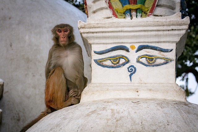 swoyambhunath